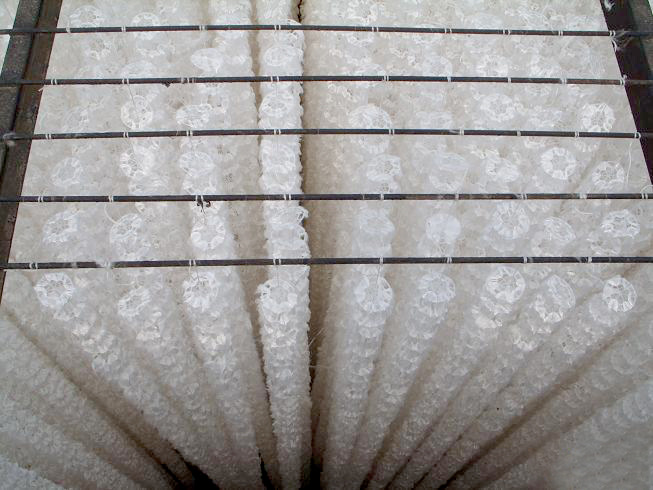 半軟性填料有什么特征？